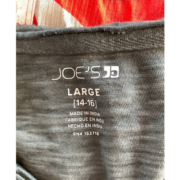 NWOT Joe's Jeans Junior Gray Burn out Tee size L (14-16) V-Neck - Picture 4 of 4